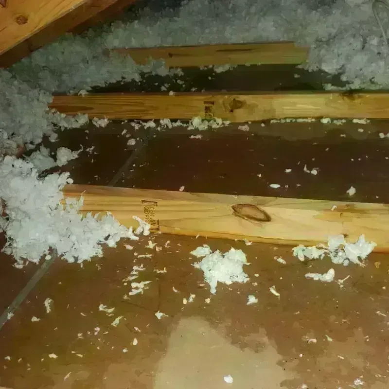 Attic Water Damage in Knox County, TX