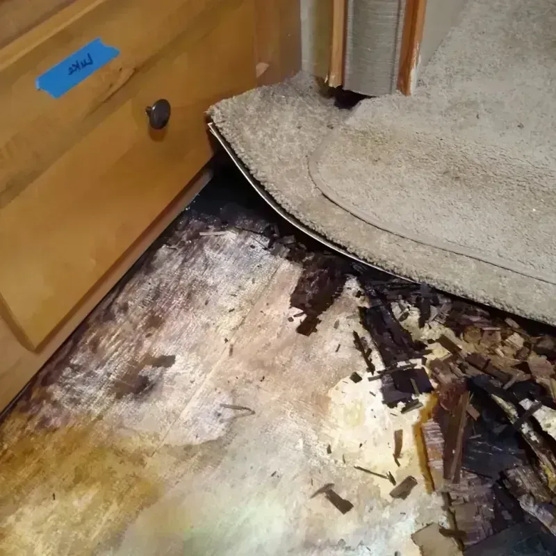 Wood Floor Water Damage in Knox County, TX